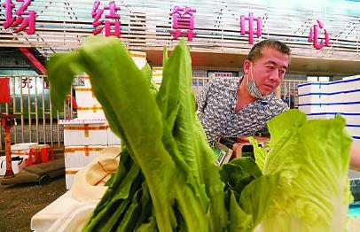 上海精準對接銷售云南扶貧農產品，微生物肥料助力農戶解燃眉之急